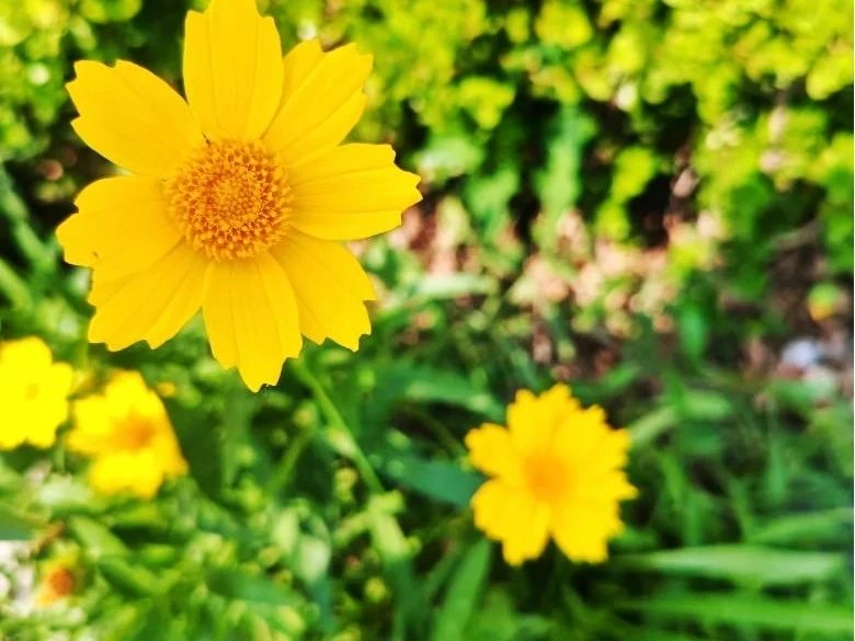 1749430092139061.jpg 1.jpg