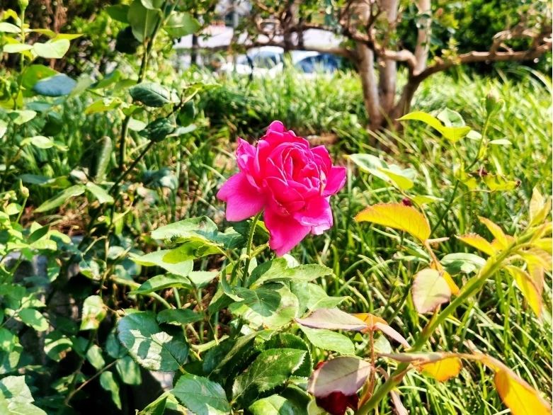 1749430102513858.jpg 2.jpg