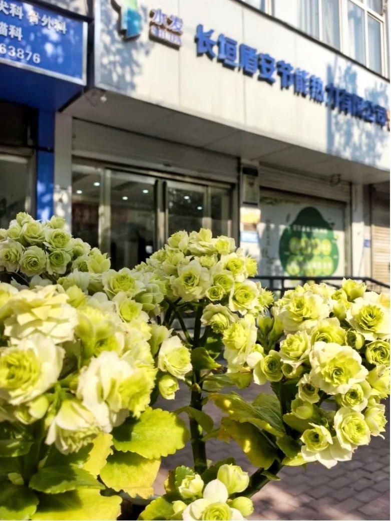 1749430198239294.jpg 16.jpg